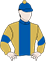 Runners Colours