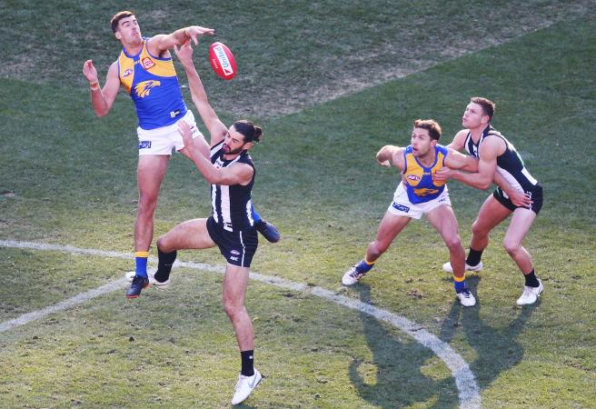 Qualifying Final: West Coast vs Collingwood Betting Preview and Tips