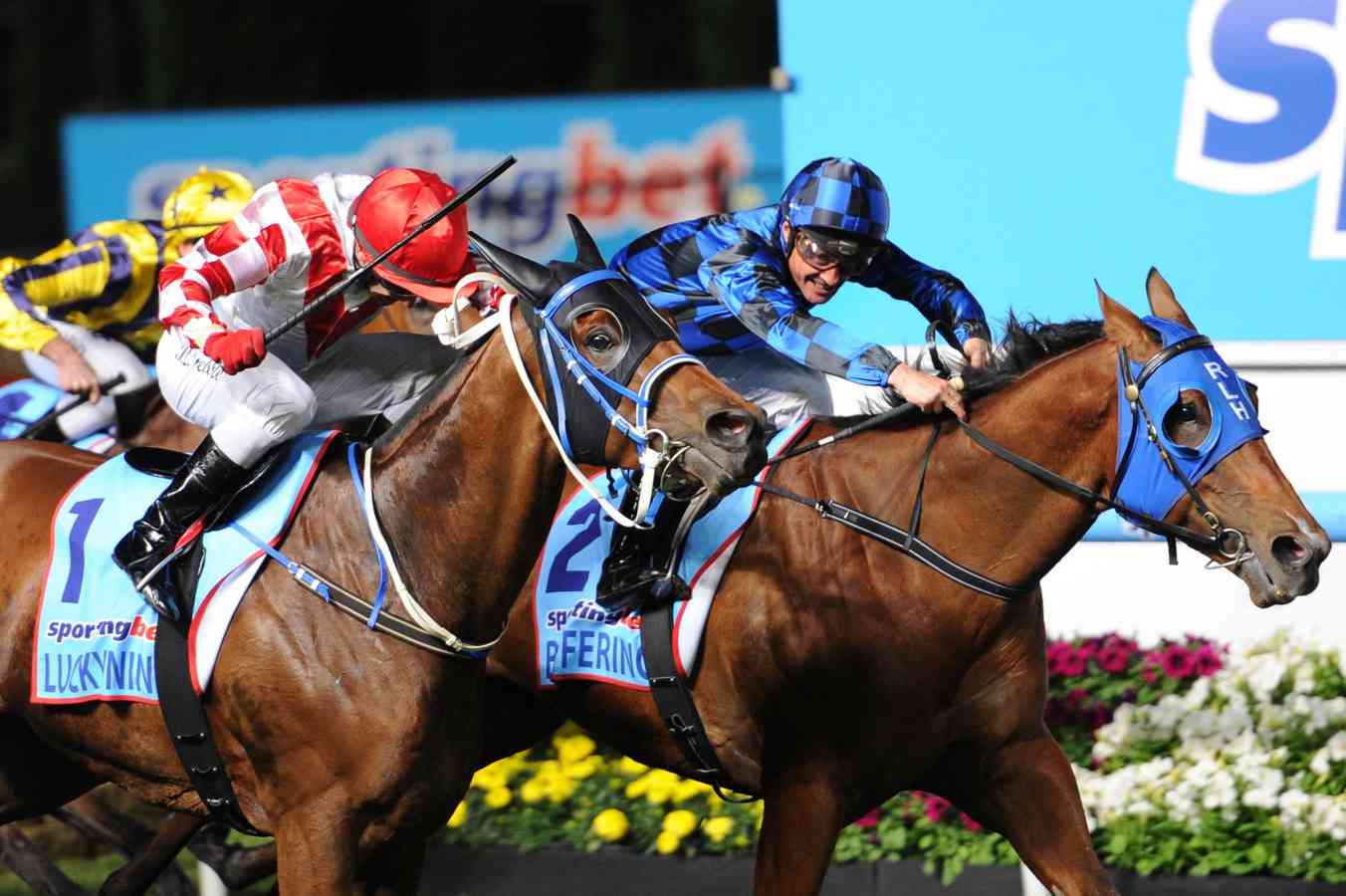 buffering ready for lankan rupee clash