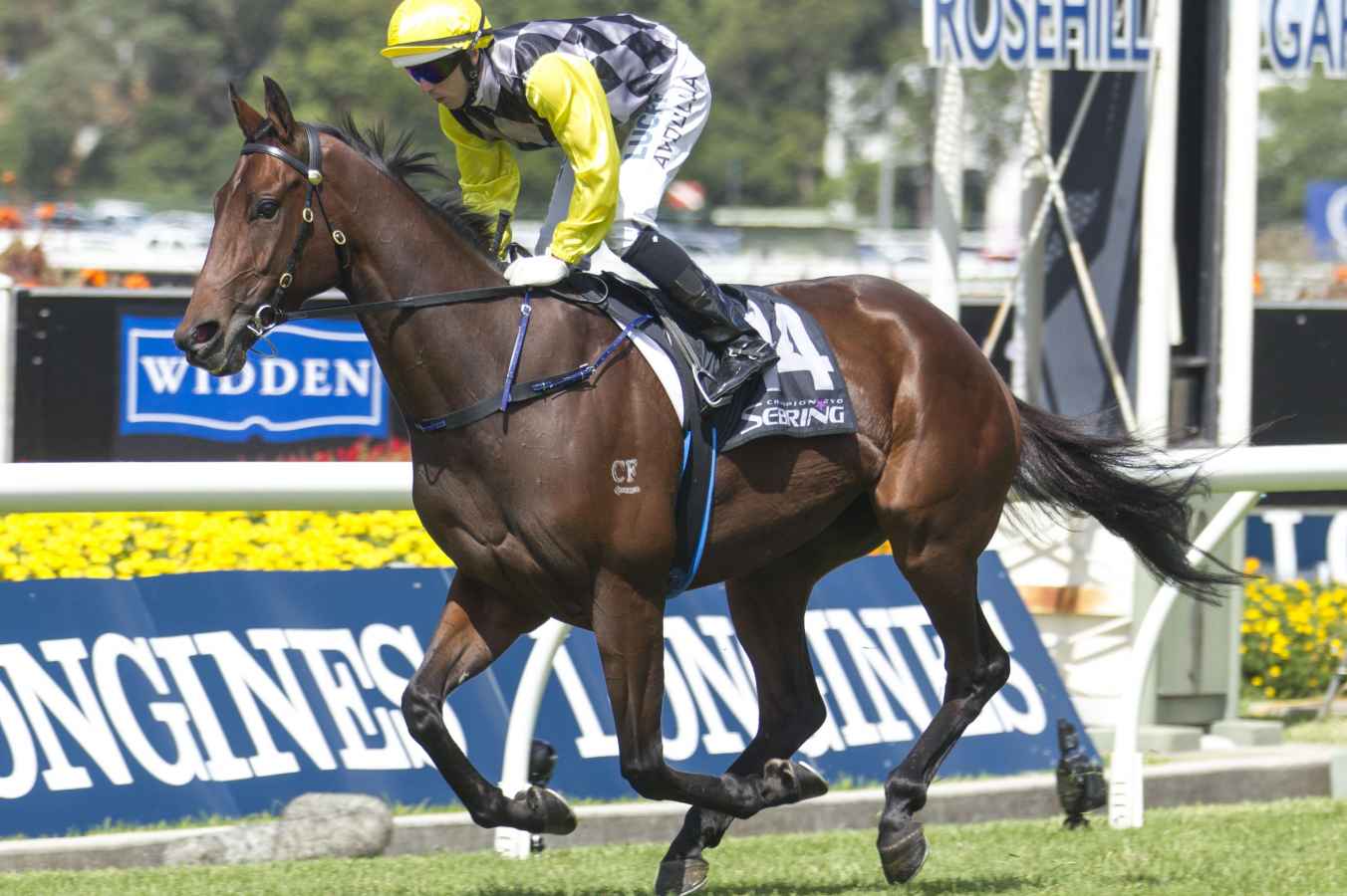 good set of trials at Rosehill and our analyst Tom Haylock was very ...