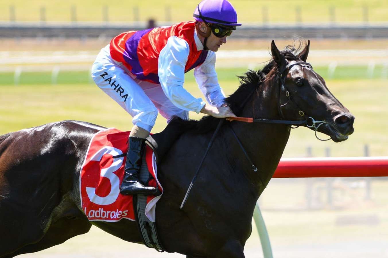 Blue Diamond question for dominant Sandown winner Artorius - Vimarsana News
