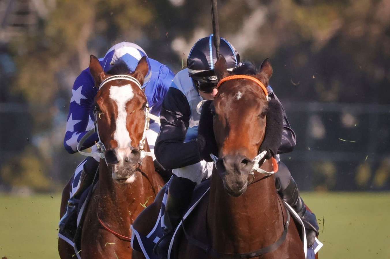 Racing Saturday Selections Randwick Winter Stakes Day Odds
