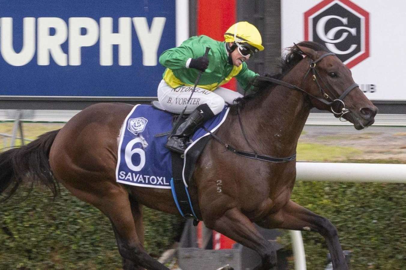 The Goodwood: Surprise winner Saxatoxl now aims for Stradbroke Handicap - Vimarsana News