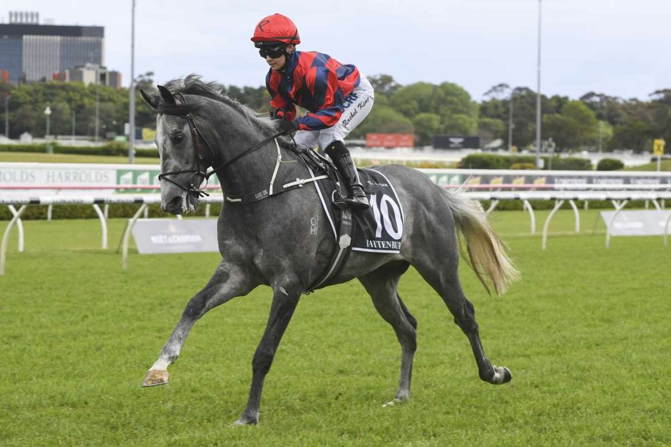 Battenburg heads to Melbourne off a G1 placing