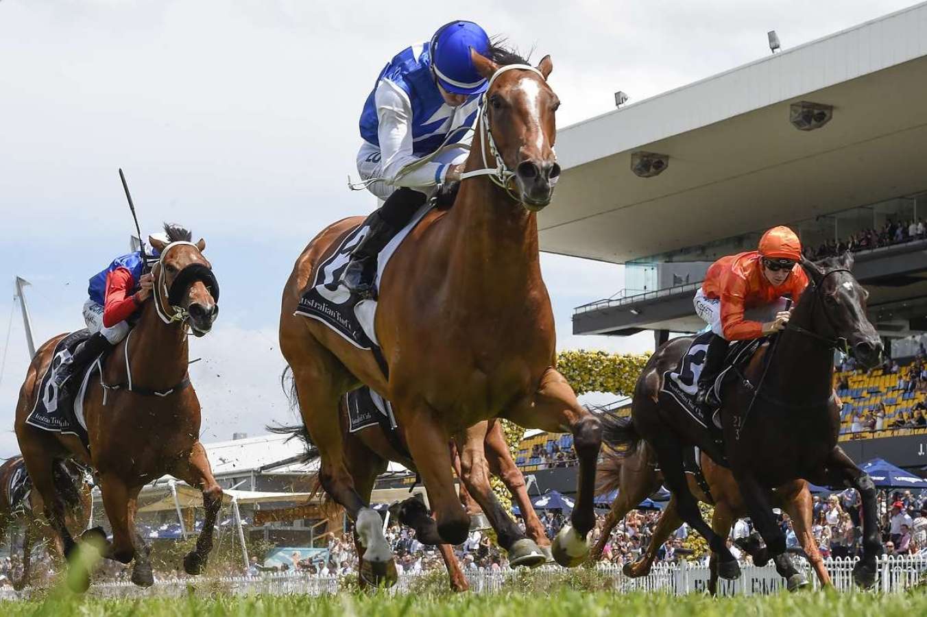 Rosehill preview