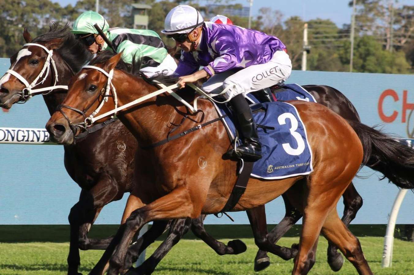 Rosehill double on cards for superhorse sons - Vimarsana News
