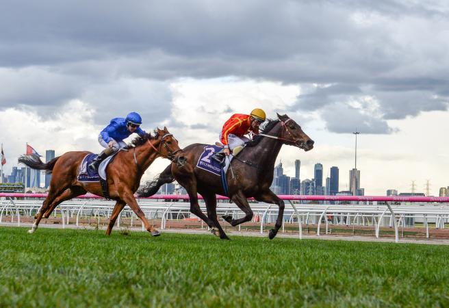 Voodoo Lad shines in Aurie's Star Handicap at Flemington