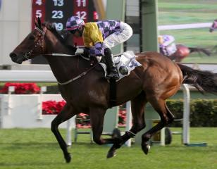 Computer Horse Program Racing Uk Forums