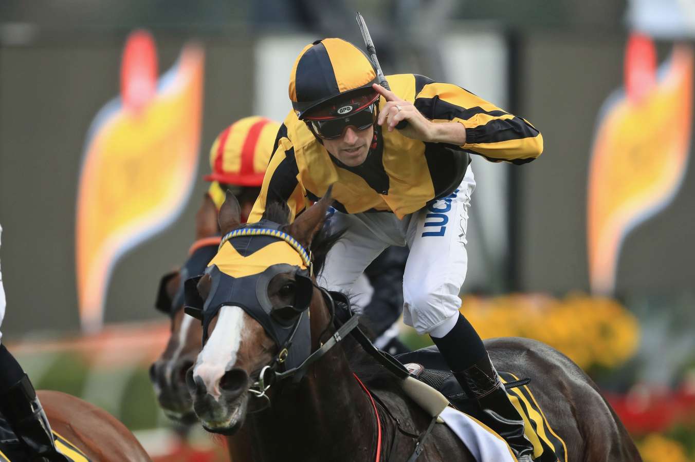 everest favourite trapeze artist has rosehill trial