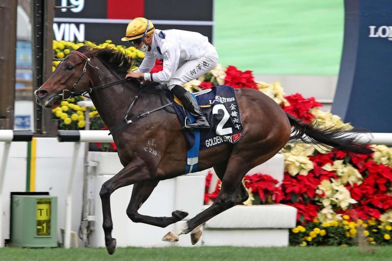 Hong Kong superstar Golden Sixty almost stayed in Australia - Vimarsana News