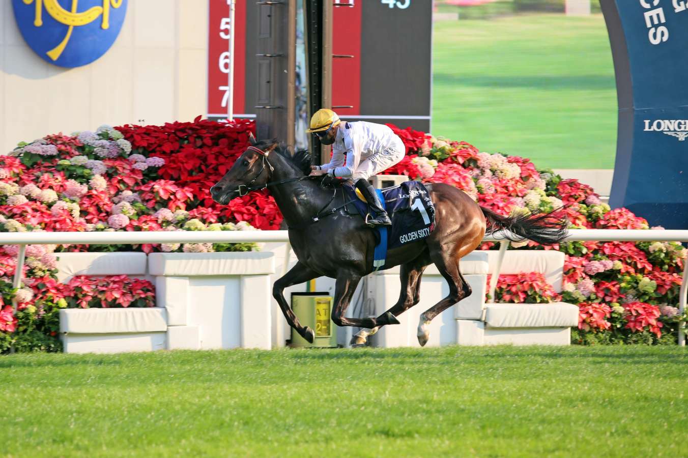 Record-setting Golden Sixty soars to new heights with LONGINES Hong Kong Mile defence - Vimarsana News