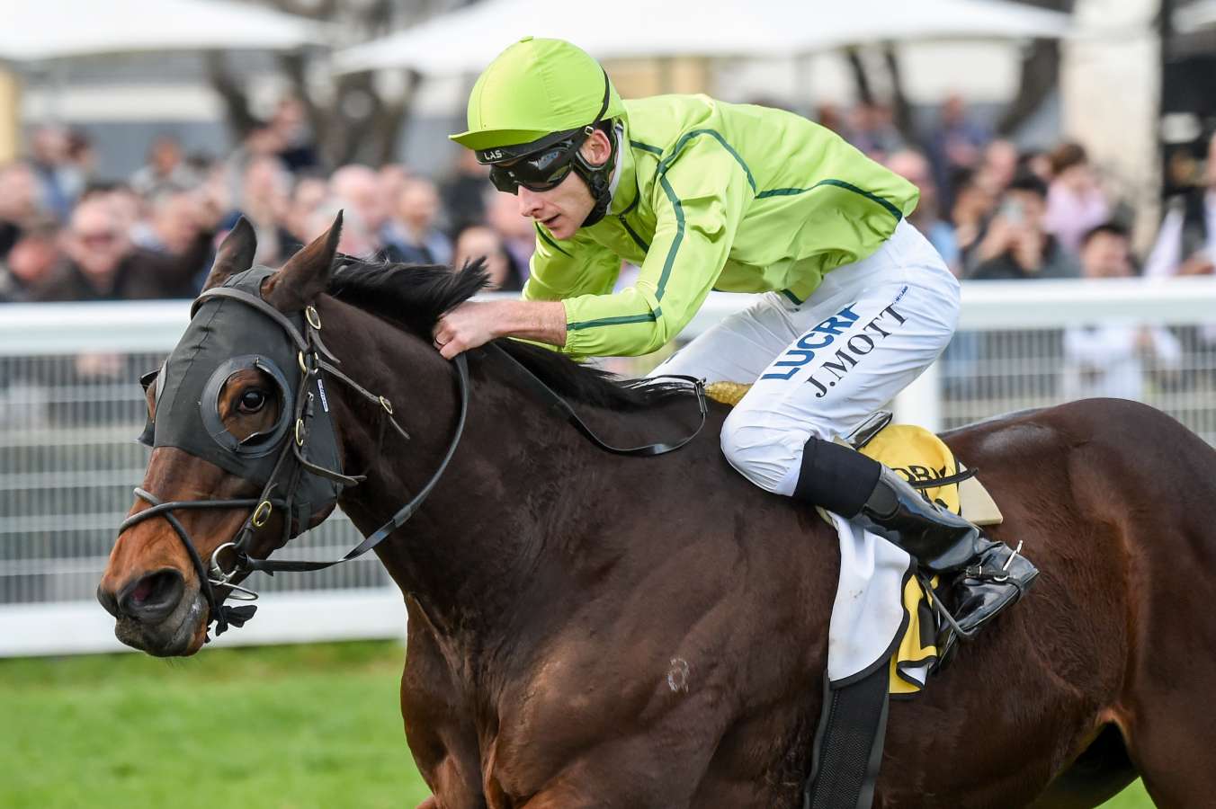 david brideoake-trained gelding self sense image: getty images