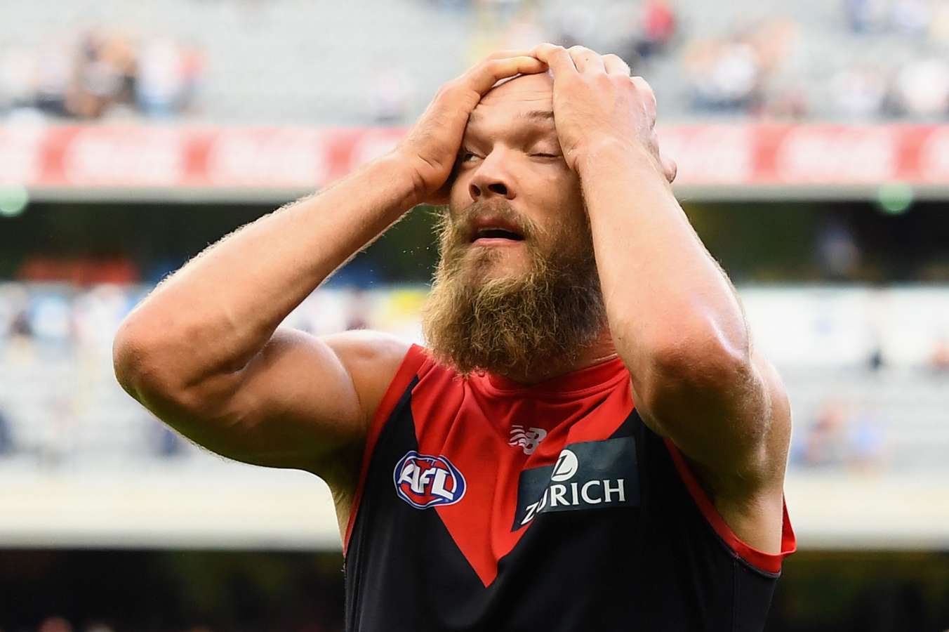 little gaz showed up in the hoops and the dogs were putrid