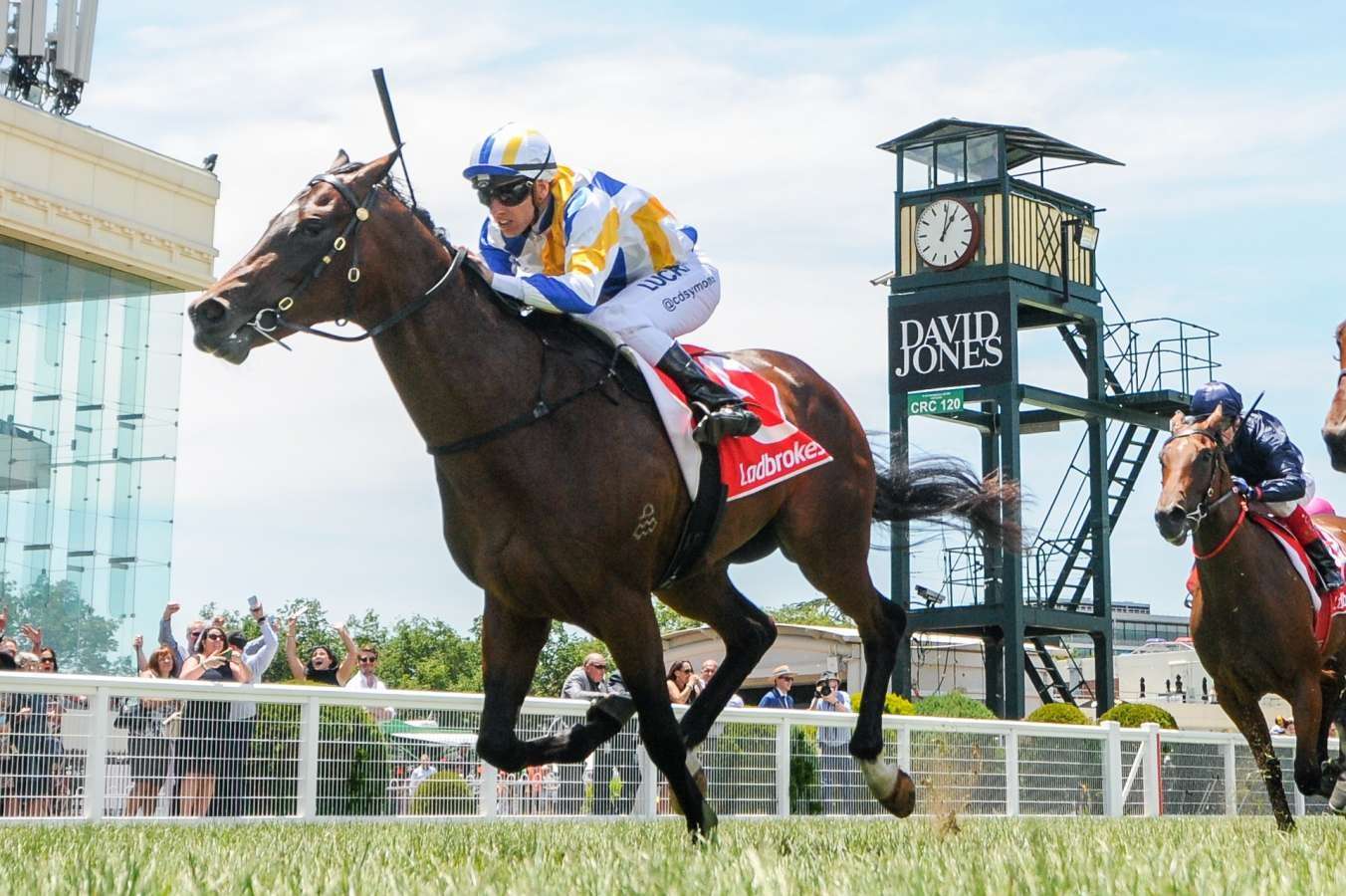 ollivander is out of the blue diamond image: getty