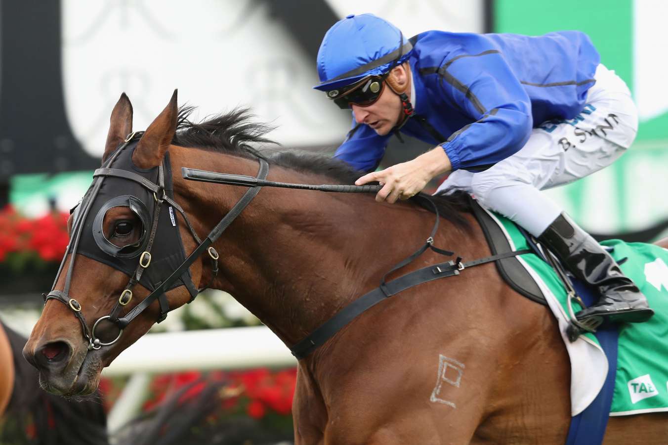 pat webster-trained gelding happy clapperimage: getty