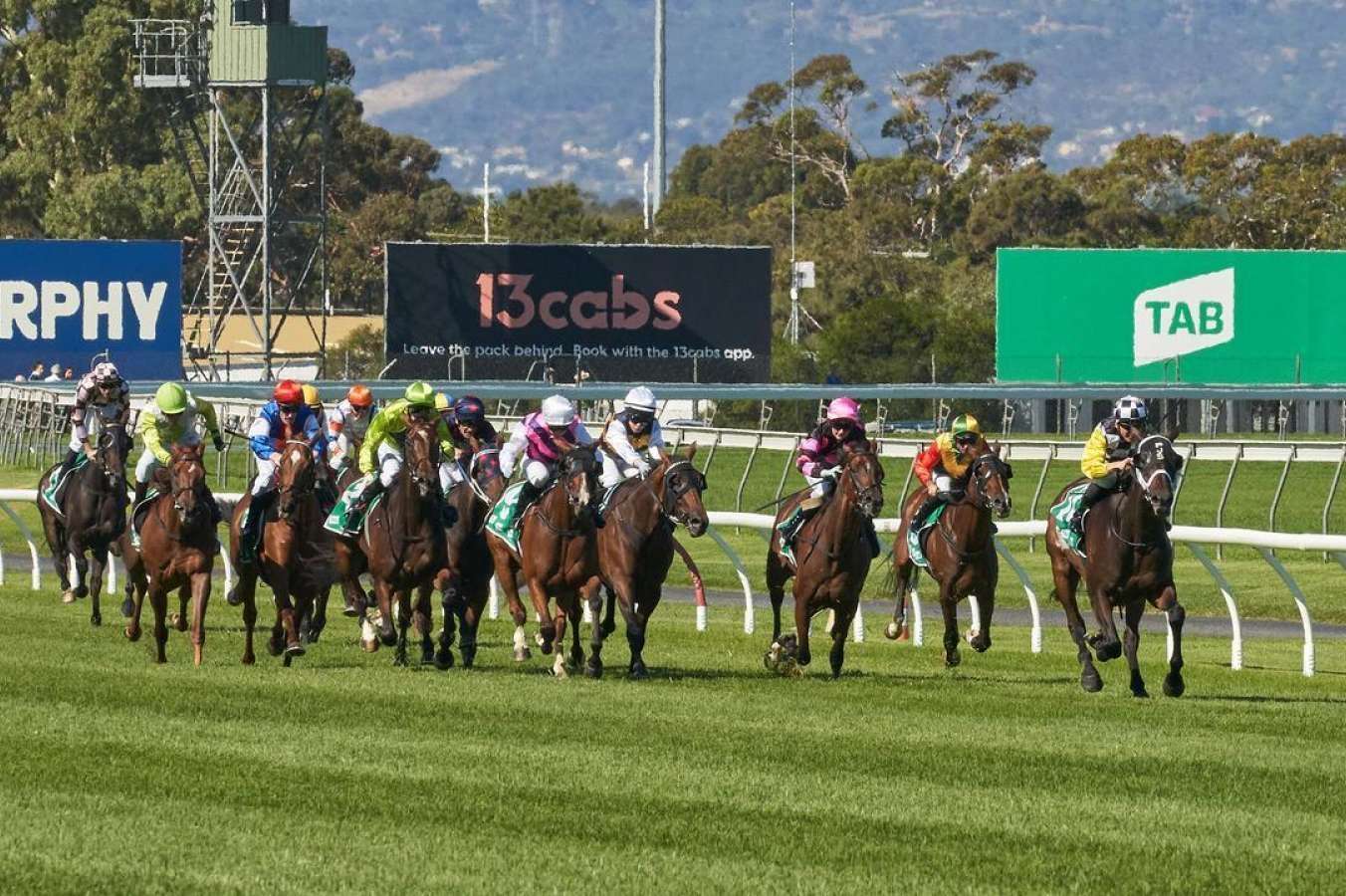 Racing returns to Morphettville on Saturday