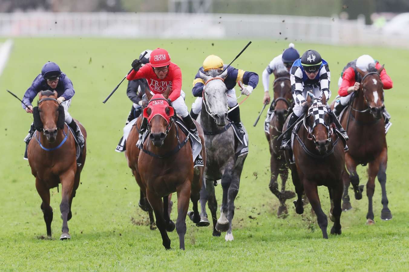 redzel can be the king of randwick once againimage: getty