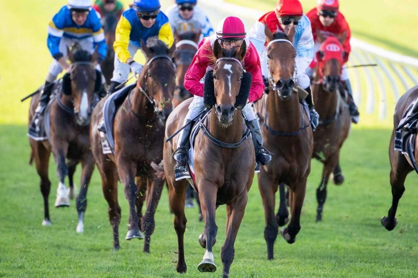 Perth racing review: William Pike stars with five-timer - Punters