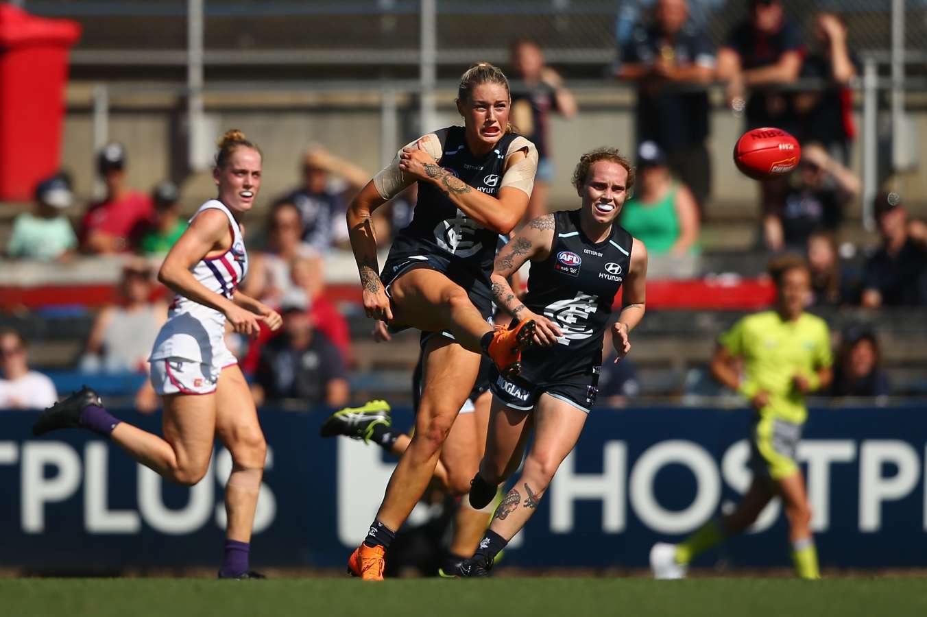 Carlton finally make a Grand Final again | Odds