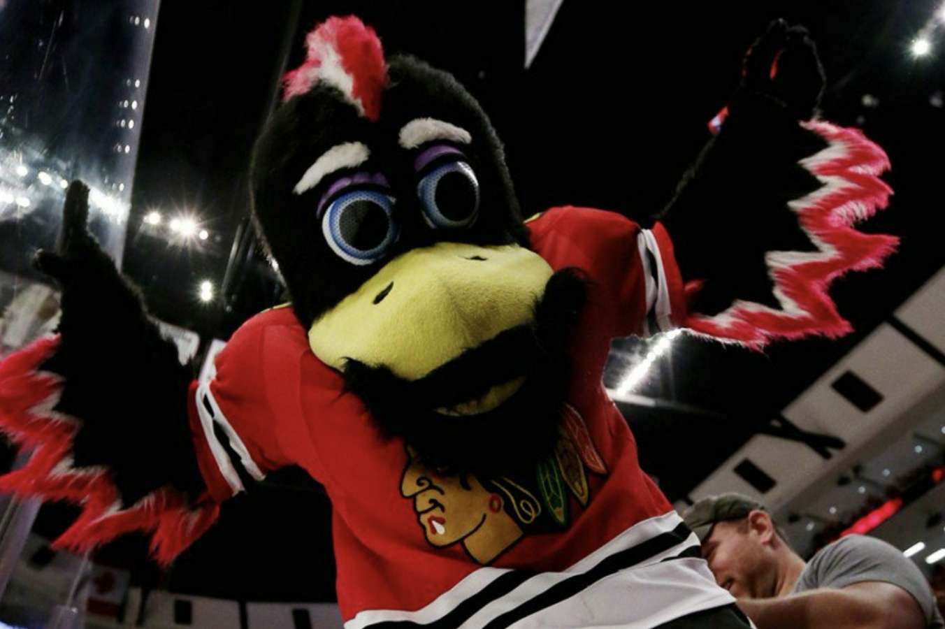 WATCH NHL mascot takes down opposition fan after being attacked Odds