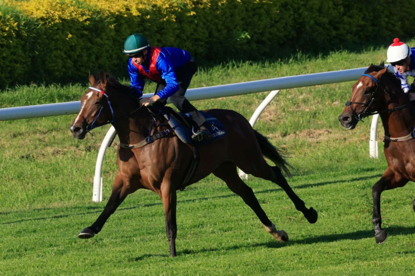 The Neasham-trained Zaaki