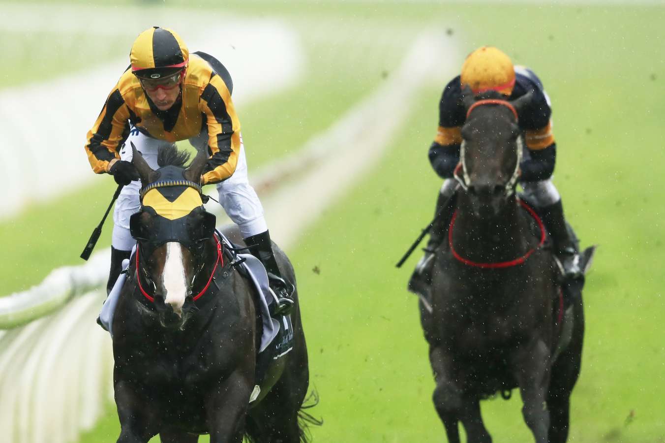 trapeze artist wins canterbury stakes