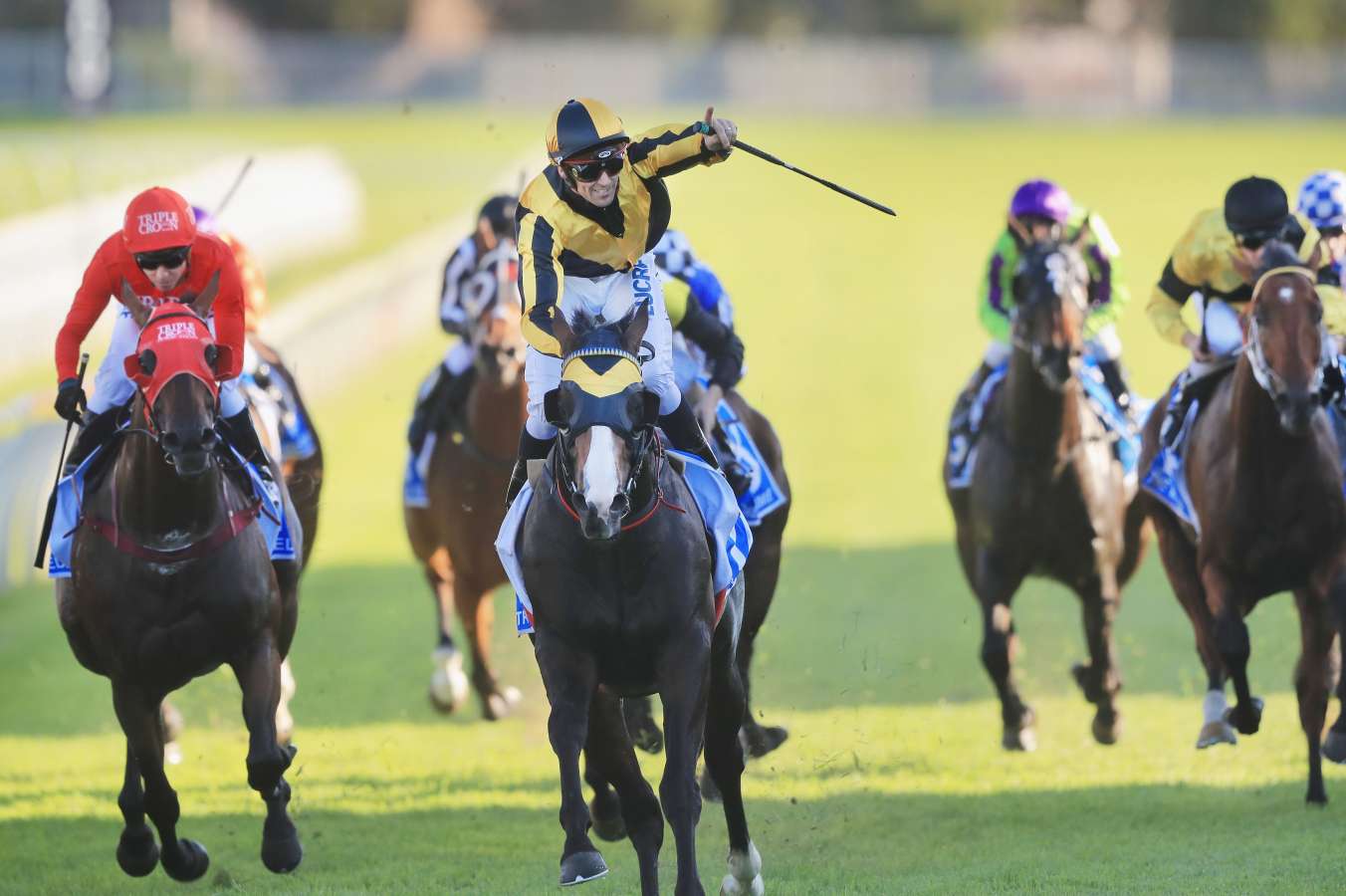 trapeze artist claims the all aged stakes