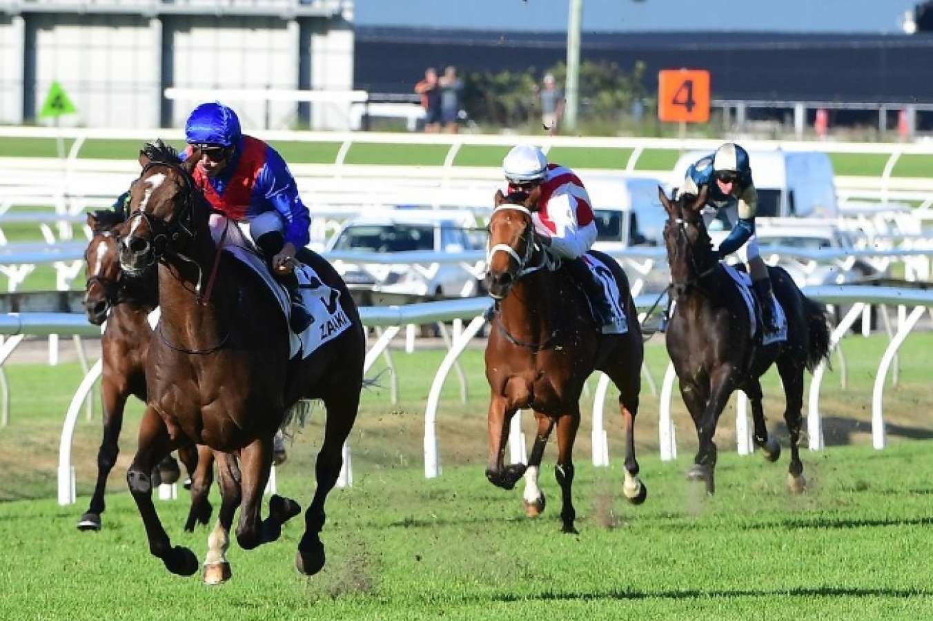Trainer Matt Dunn: "Sydney is the best racing in the world" - Vimarsana News