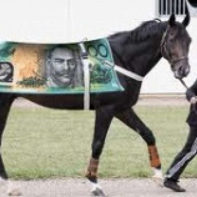 Денежная лошадь. Статуэтка лошадь. Статуэтка "томми", chinelli. Конь с деньгами. Лошадь с деньгами.