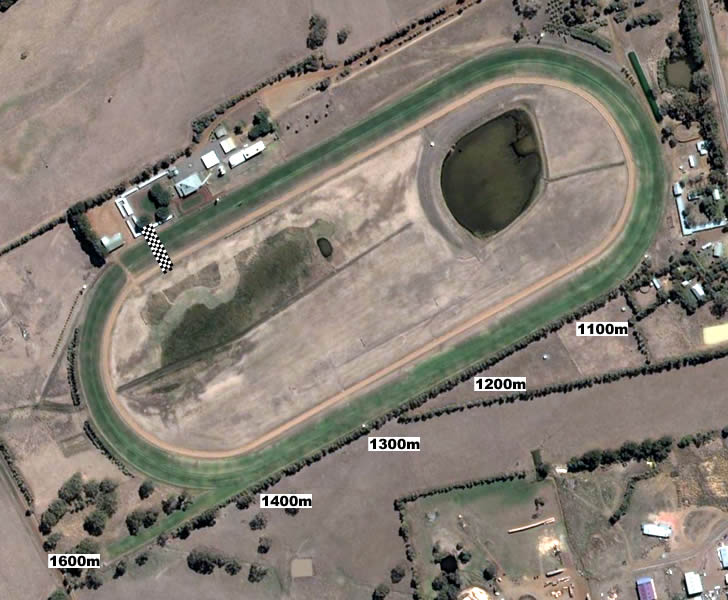 Hamilton Racecourse Race Cards Tips Results Fan Odds